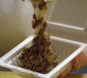 2008 08 natto 2