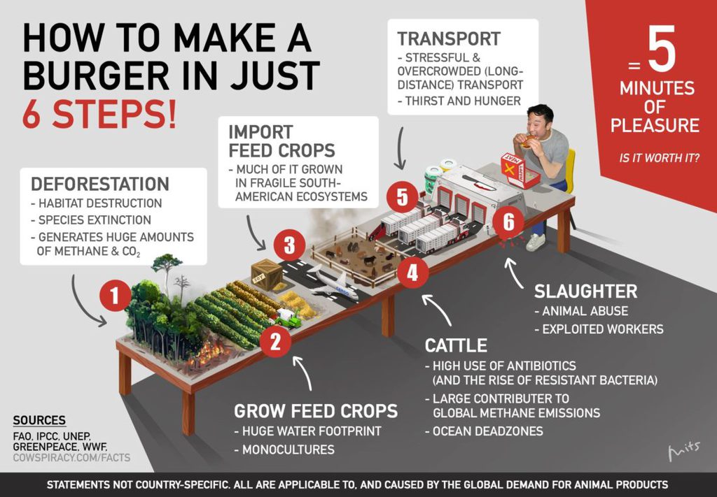 effects of meat on environment