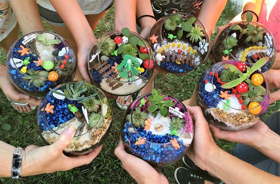 fairy garden kit