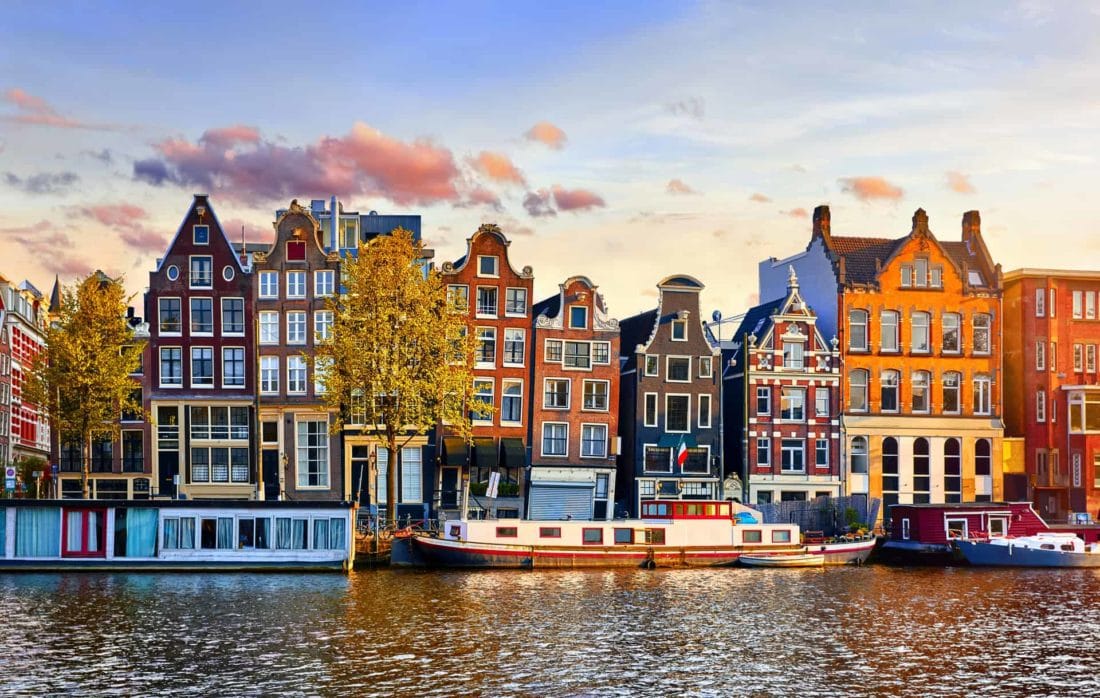 future vegan cities