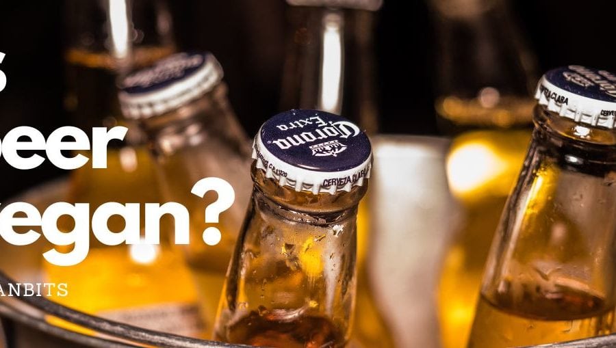 is beer vega.