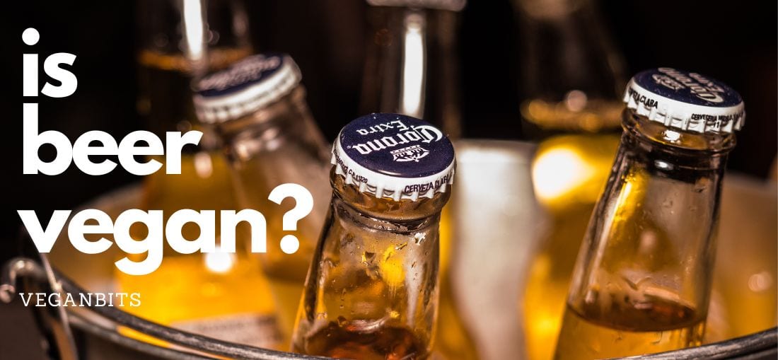 is beer vega.