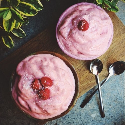 plantbasedicecream