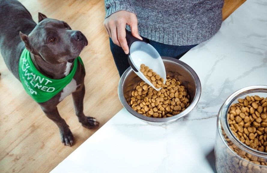 vdog vegan food