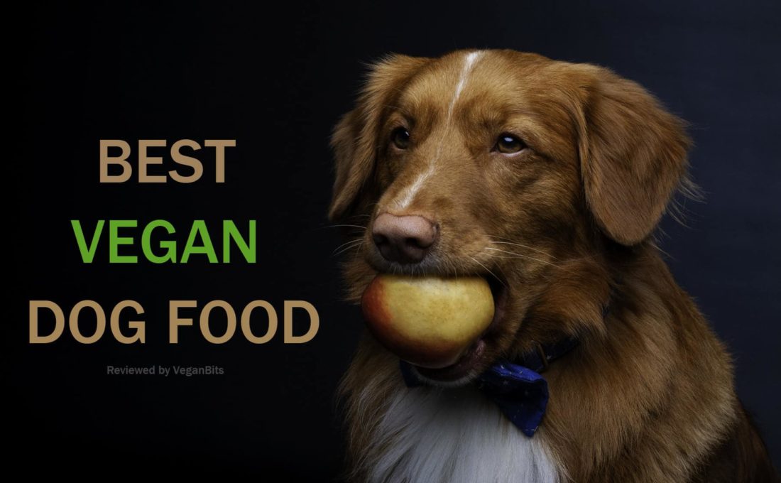 best vegan dog food list