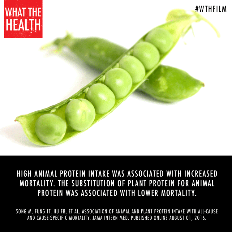 What the health